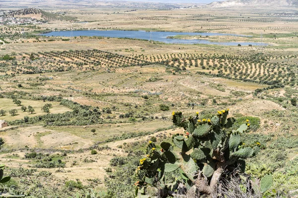 Takrouna Pequeño Pueblo Región Del Sahel Tunisia Una Colina — Foto de Stock