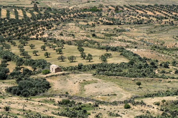 Τακρούνα Μικρό Χωριό Στην Περιοχή Sahel Της Τουνισίας Ένα Λόφο — Φωτογραφία Αρχείου