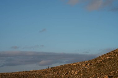 Zammour, Tunus Dahar 'ın güney kenti..