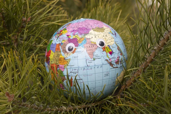 A globe with toy eyes looking forward lies on the needles of a pine tree.