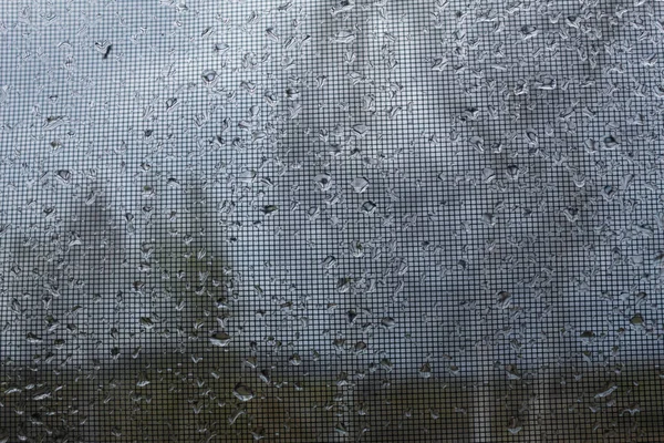 蚊の網で窓のペインには雨滴があります — ストック写真