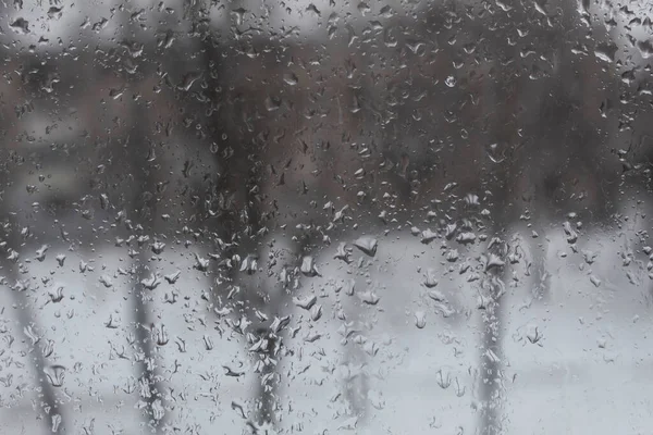 透过雨滴中的窗玻璃 可以看到树木的轮廓 — 图库照片