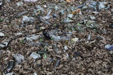 Çevreyi kirleten büyük miktarda plastik, cam ve diğer atıklar.