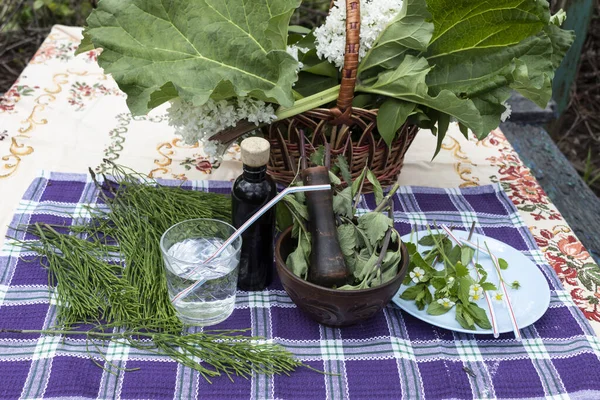 Table Basket Rhubarb Lilac Plate Mint Leaves Wild Strawberry Flowers — Stock Photo, Image