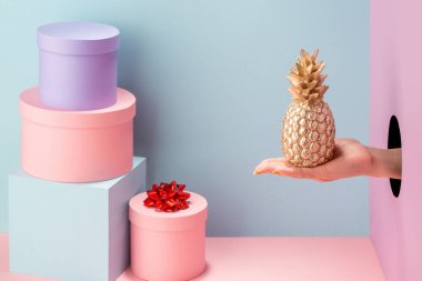 Mavi arka planda altın bir ananas tutuyor.