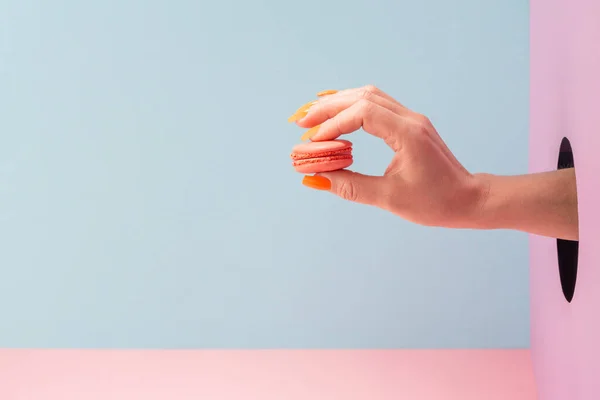 Mão segurando um macaron através do buraco na parede no fundo azul — Fotografia de Stock