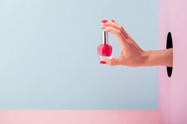 Mano de mujer sosteniendo una botella de esmalte de uñas rosa —  Fotos de Stock