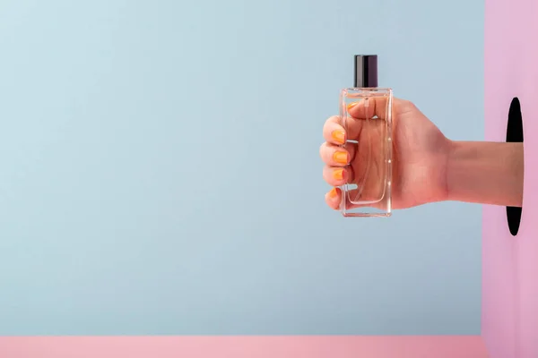 Mano de mujer sosteniendo una botella de perfume sobre fondo azul y rosa —  Fotos de Stock