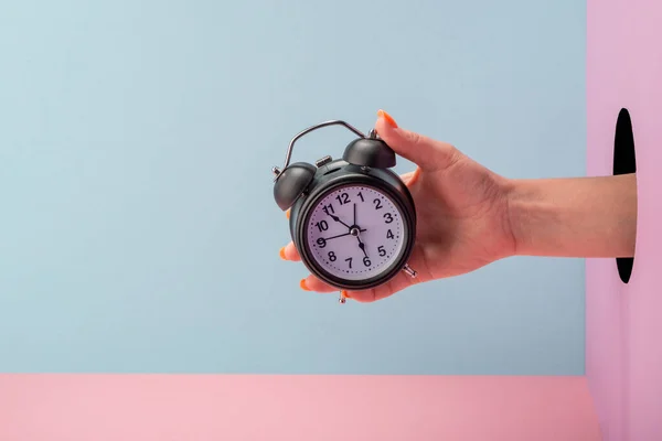 Mano de mujer sosteniendo un despertador negro sobre fondo azul y rosa —  Fotos de Stock