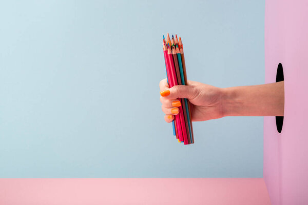 Womans hand holding a set of color pencils on blue and pink background