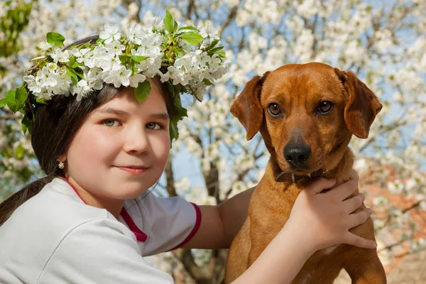 Carino bambina con il suo cane marrone — Foto Stock