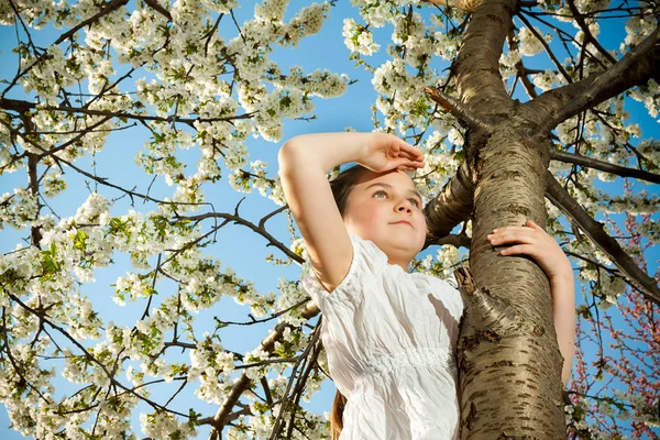 Linda niña jugando en el árbol a principios de primavera — Foto de Stock