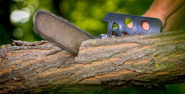 Elektrikli testereli adam ağacı kesiyor.