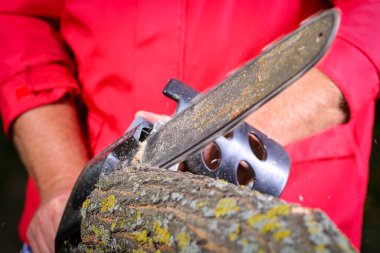 Elektrikli testereli adam ağacı kesiyor.