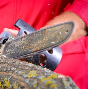 Elektrikli testereli adam ağacı kesiyor.