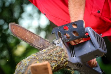 Elektrikli testereli adam ağacı kesiyor.