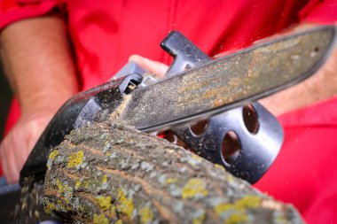 Elektrikli testereli adam ağacı kesiyor.