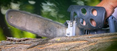 Elektrikli testereli adam ağacı kesiyor.