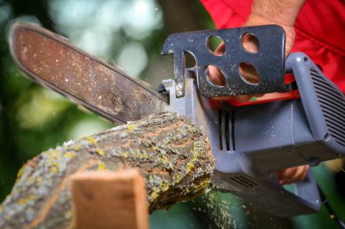 Elektrikli testereli adam ağacı kesiyor.