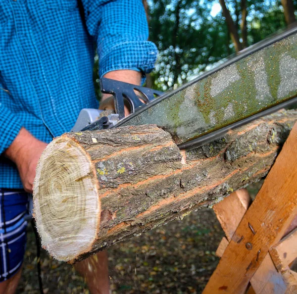 Homem com motosserra cortando a árvore — Fotografia de Stock