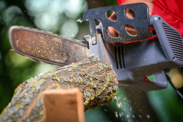 Hombre con motosierra cortando el árbol —  Fotos de Stock