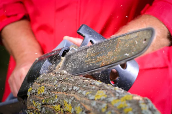 Elektrikli testereli adam ağacı kesiyor.