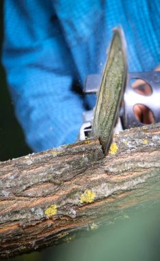 Elektrikli testereli adam ağacı kesiyor.