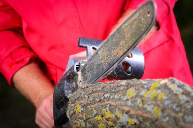 Elektrikli testereli adam ağacı kesiyor.