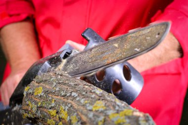 Elektrikli testereli adam ağacı kesiyor.