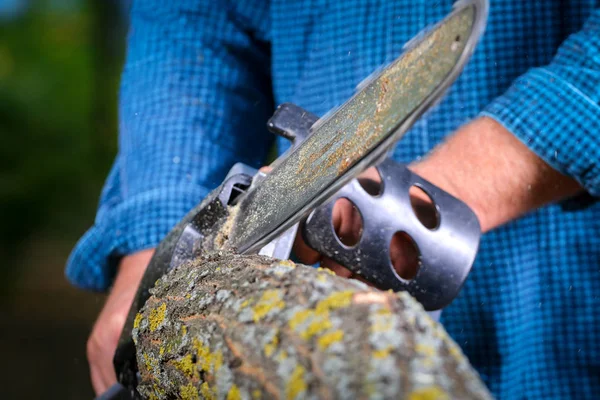 Elektrikli testereli adam ağacı kesiyor.