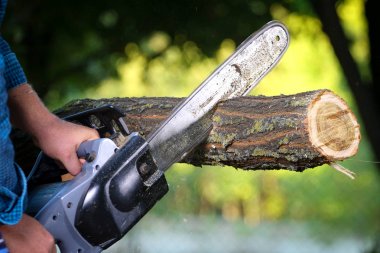 Elektrikli testereli adam ağacı kesiyor.
