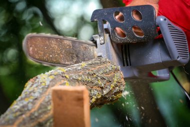 Elektrikli testereli adam ağacı kesiyor.