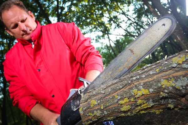 Hombre con motosierra cortando el árbol —  Fotos de Stock