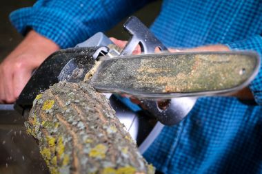 Elektrikli testereli adam ağacı kesiyor.