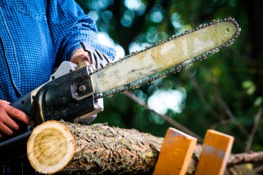 Elektrikli testereli adam ağacı kesiyor.