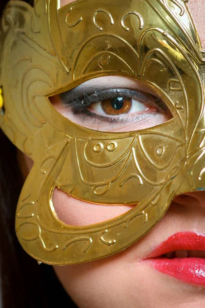 Belleza modelo mujer usando mascarada máscara de carnaval sobre Christm —  Fotos de Stock