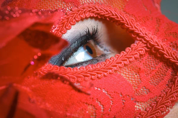 Belleza modelo mujer usando mascarada máscara de carnaval sobre Christm —  Fotos de Stock