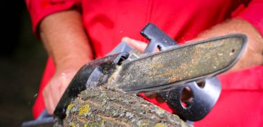 Elektrikli testereli adam ağacı kesiyor.