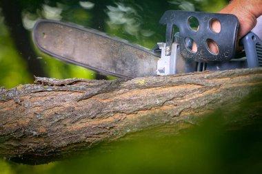 Elektrikli testereli adam ağacı kesiyor.