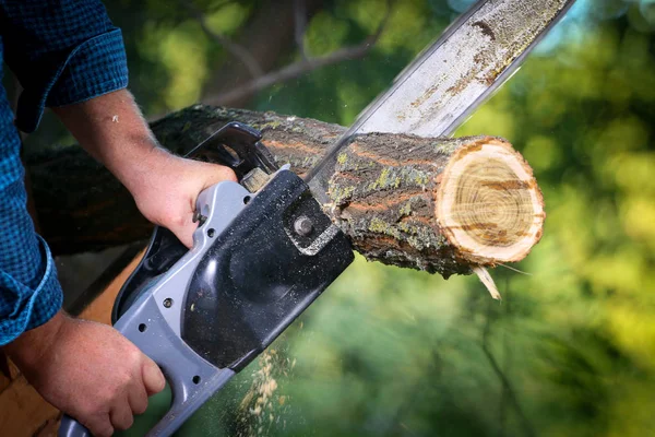 鎖に繋がれた男が木を切り — ストック写真