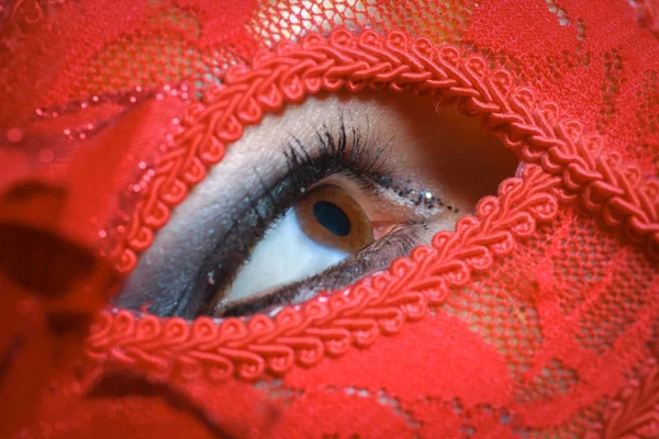 Belleza modelo mujer usando mascarada máscara de carnaval sobre Christm —  Fotos de Stock