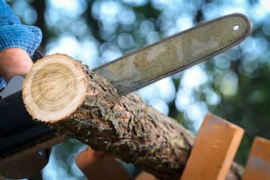 Elektrikli testereli adam ağacı kesiyor.