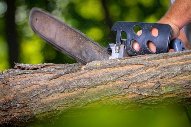 Elektrikli testereli adam ağacı kesiyor.