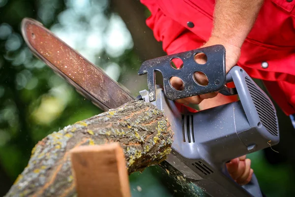 Hombre con motosierra cortando el árbol —  Fotos de Stock