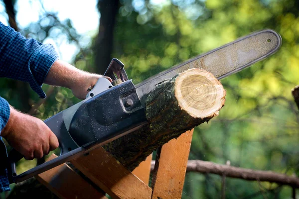 鎖に繋がれた男が木を切り — ストック写真