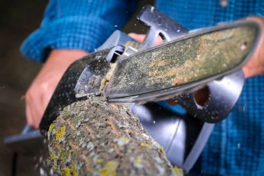 Elektrikli testereli adam ağacı kesiyor.