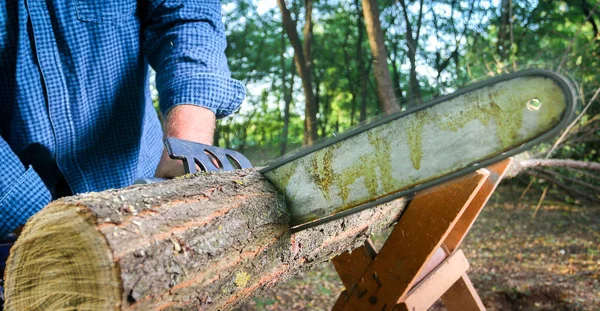 Man with chainsaw cutting the tree — Stock Photo, Image