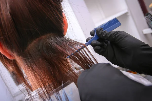 Girl in beauty salon while an hair stylist dyeing her hair — Stock Photo, Image