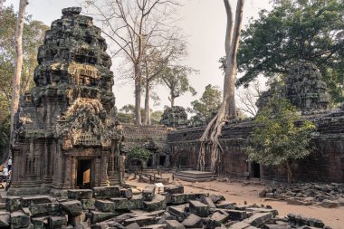 Güneşli bir günde Angkor tapınak ve ağaçlarının manzarası