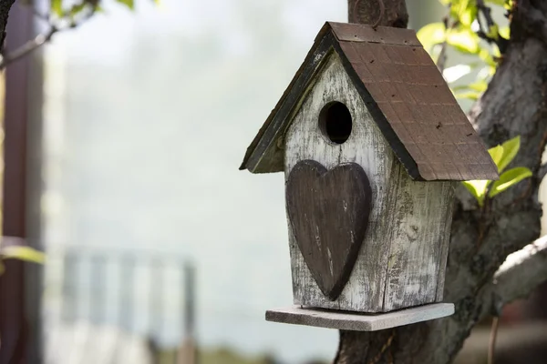 Photo Vieux Nid Oiseaux Bois Avec Symbole Coeur Dessus — Photo